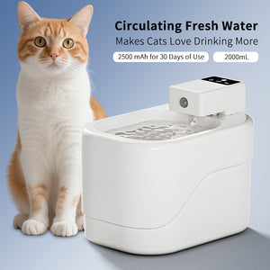 Intelligent Sensor Pet Drinking Fountain 2000ML Large Capacity