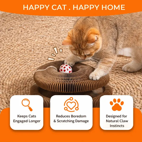2PCS Kitty Curls Cat Toy - Foldable Accordion Cat Scratcher WithBall - Magic Org