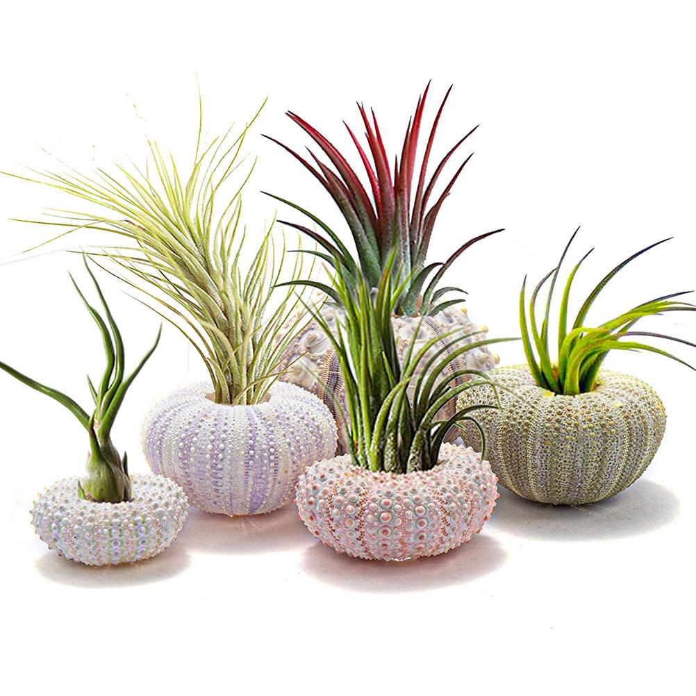 5PCS Funny Planter Pots Adorable Decorative Hanging Planter For Home Office Deco
