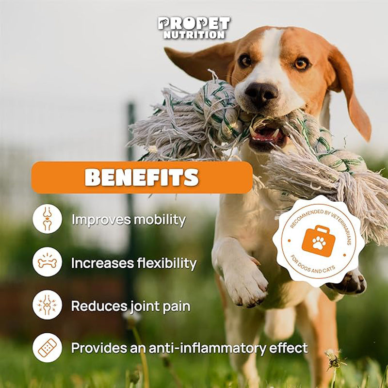 Joint Supplements For Dogs And Cats With Glucosamine, Chondroitin, 10 Vitamins, 