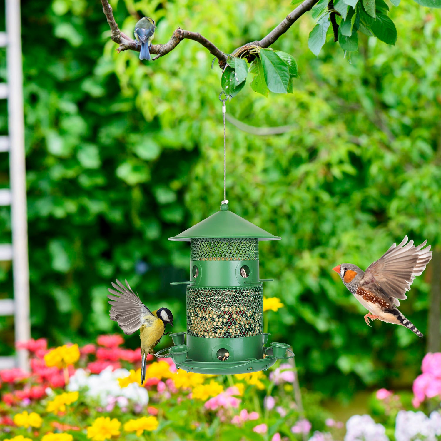 1Pc Wild Bird Feeder Squirrel-Proof Chew-Proof Metal Bird Seed Feeder Outdoor Ha