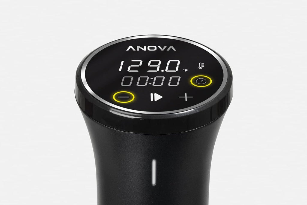 sous vide stick cooker wifi — daily find — view 2