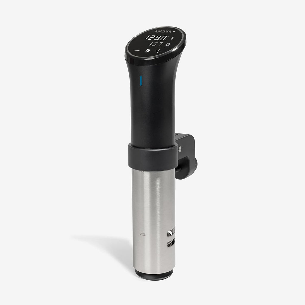 sous vide stick cooker wifi — daily find — view 3