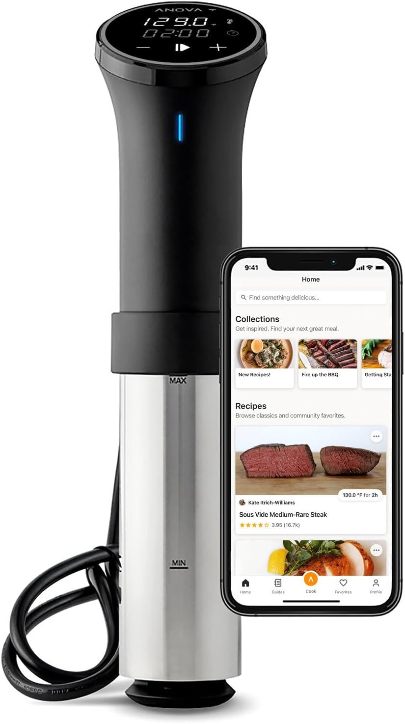 sous vide stick cooker wifi — daily find — view 1