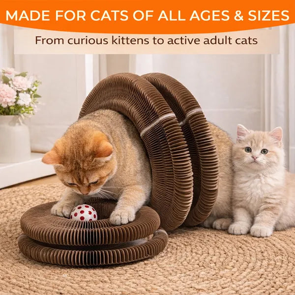 2PCS Kitty Curls Cat Toy - Foldable Accordion Cat Scratcher WithBall - Magic Org