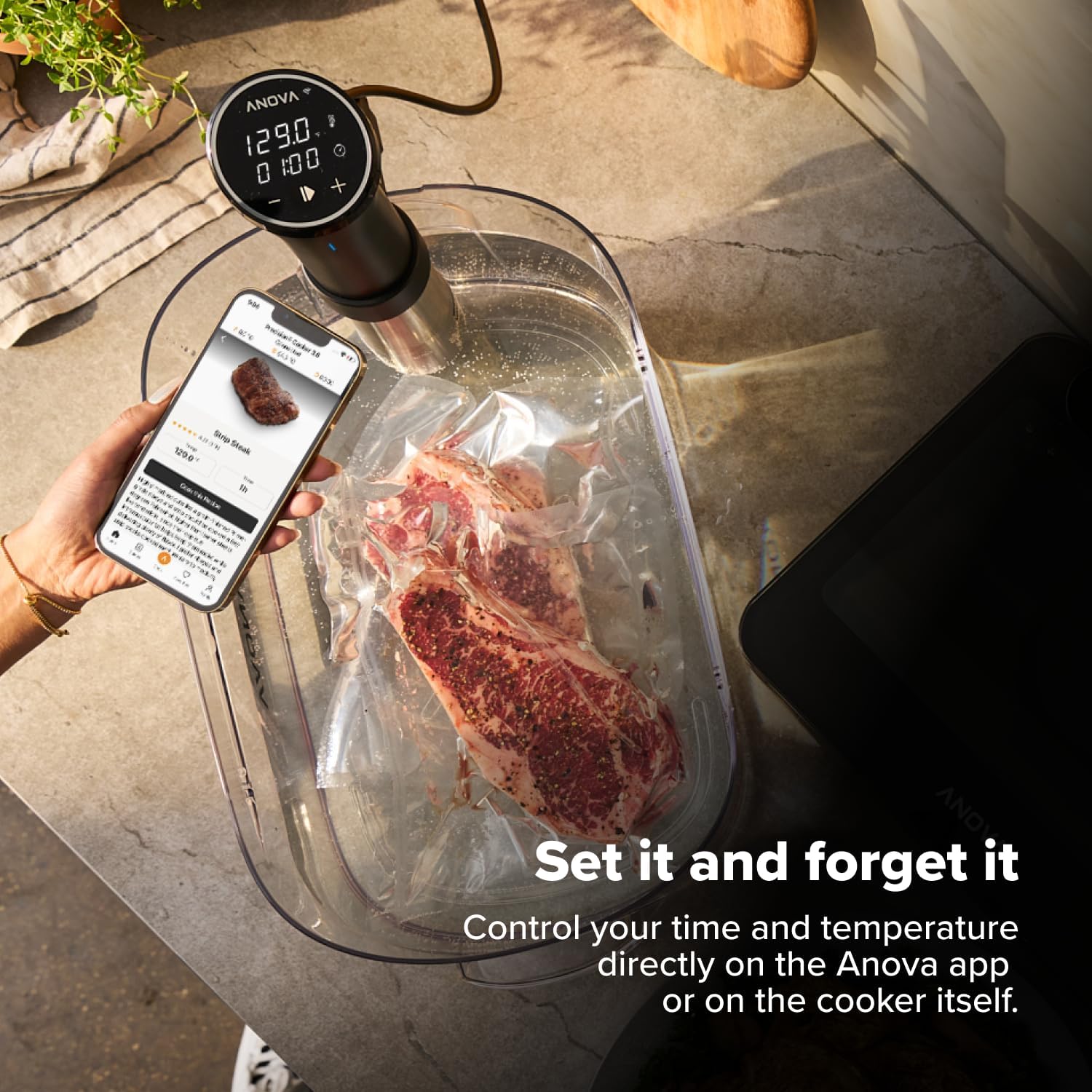 sous vide stick cooker wifi — daily find — view 7