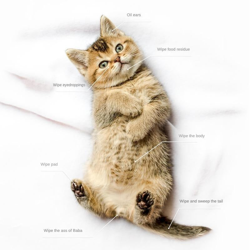 PET Cleaning  Deodorizing Bathing Wipes ForDogs And Cats, Nourish Fur Coconut Oi