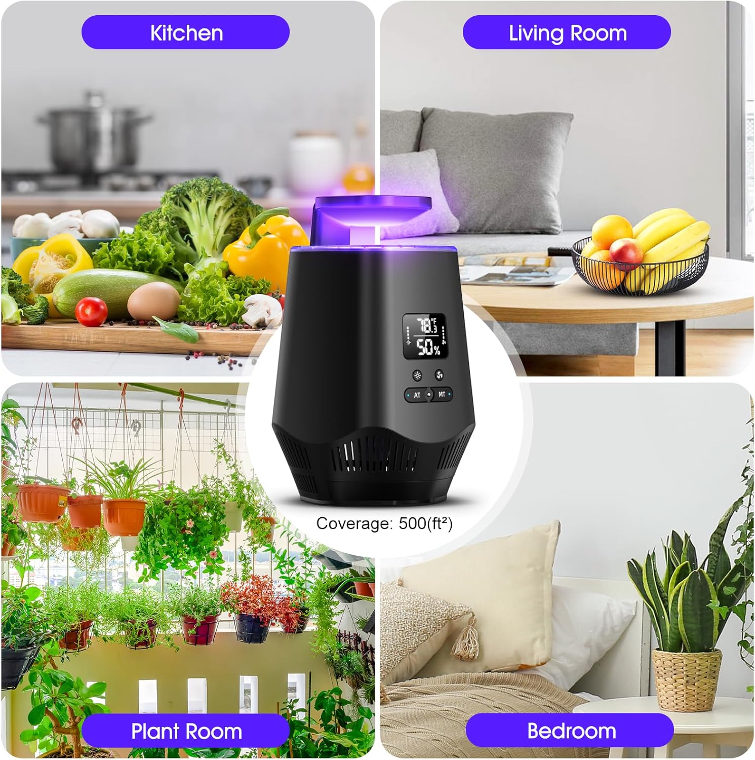 fruit fly trap reusable — daily find — view 7