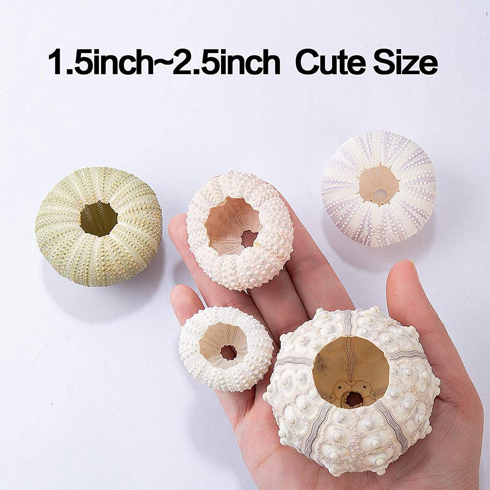 5PCS Funny Planter Pots Adorable Decorative Hanging Planter For Home Office Deco