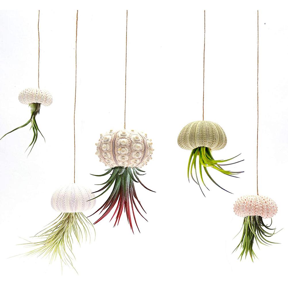 5PCS Funny Planter Pots Adorable Decorative Hanging Planter For Home Office Deco