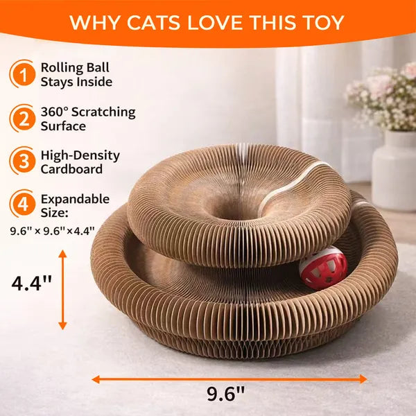 2PCS Kitty Curls Cat Toy - Foldable Accordion Cat Scratcher WithBall - Magic Org