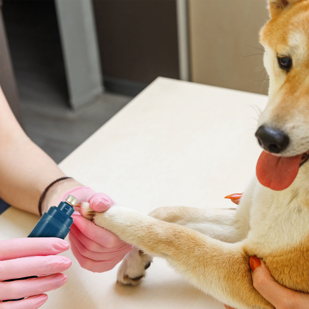 1Pc Dog Nail Grinder 2 Speeds Quiet USB Rechargeable Pet Nail Grinder Profession