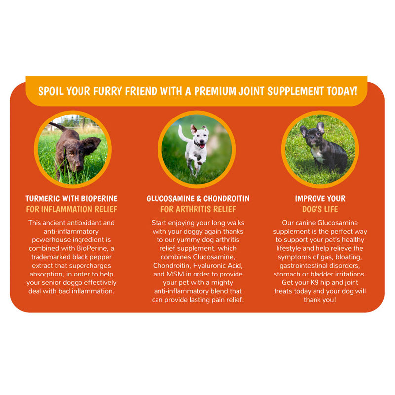 Joint Supplements For Dogs And Cats With Glucosamine, Chondroitin, 10 Vitamins, 