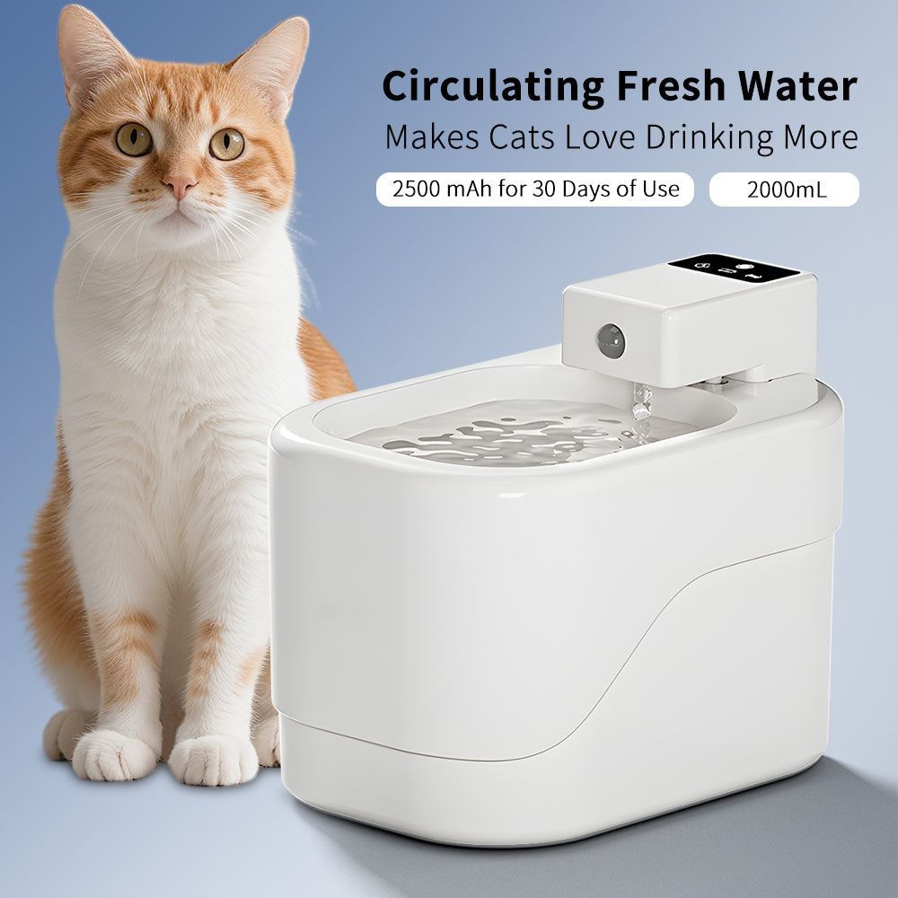 Intelligent Sensor Pet Drinking Fountain 2000ML Large Capacity, USB Charging Wir